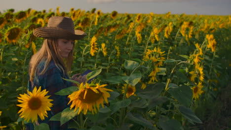 A-farmer-girl-is-walking-on-the-field-with-lots-of-sunflowers-and-studing-their-main-charasteristics.-She-is-writing-some-important-things-in-her-e-book.